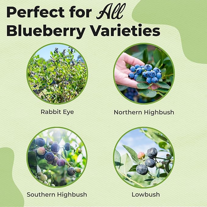 Specialty Blueberry Potting Mix by Perfect Plants | Organic Premium Mix | Use with Blueberry's, Raspberry, or Other Fruit Shrubs (8qt)