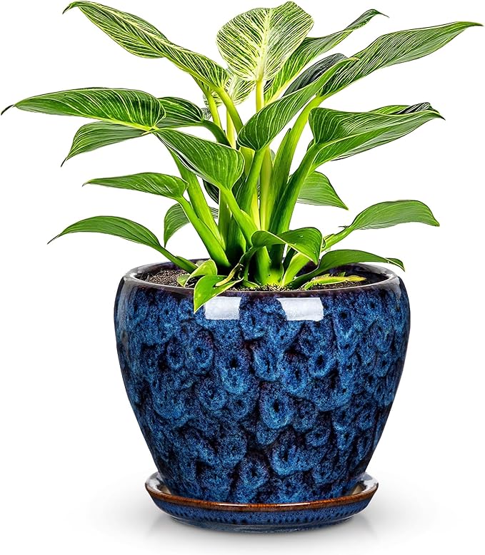 Hollyone Ceramic Planter Blue Ceramic Plant Pot for Plants Flowers 5.5 inch with Drainage Hole and Saucers Ceramic Glaze Round Flower Plant Pot for Indoor Outdoor Round Succulent Orchid Flower Pot