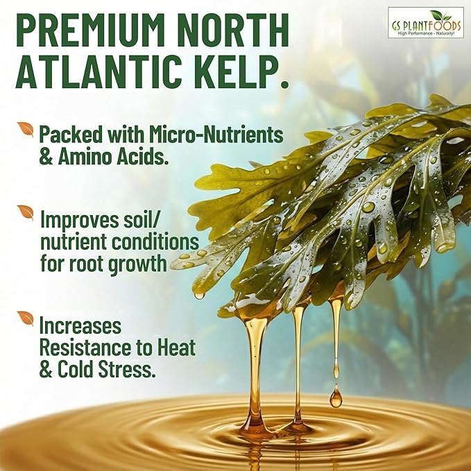 GS Plant Foods Liquid Kelp Fertilizer – Suitable for Organic Growing, OMRI Listed Seaweed Concentrate for Lawns, Gardens & Soil - 1 Gallon (Makes Up To 800+ Gallons)