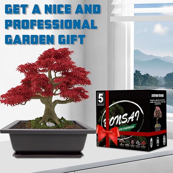Sproutix Bonsai Starter Kit, 5 Seeds Growing into Acacia, Wisteria, Sakura, Red Maple and Black Pine, Including Complete Gardening Tools with A Gift Box, Christmas Gifts for Men Women Beginners