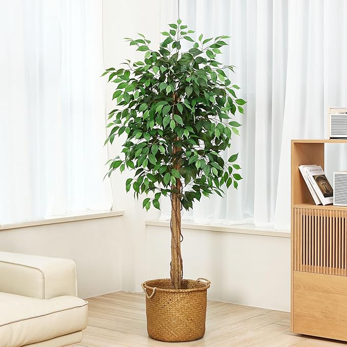 6ft Ficus Artificial Trees with Realistic Leaves and Trunk, Silk Fake Ficus Tree with Plastic Nursery Pot, Faux Ficus Tree for Office Home Farmhouse for Indoor Outdoor Decor(Set of 1)