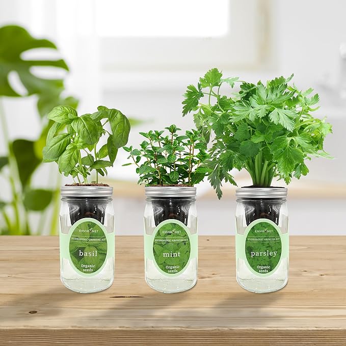 Environet Hydroponic Herb Growing Kit Set, Self-Watering Mason Jar Herb Garden Starter Kit Indoor, Windowsill Herbs Garden, Grow Your Own Herbs from Organic Seeds (Basil, Mint, Parsley)