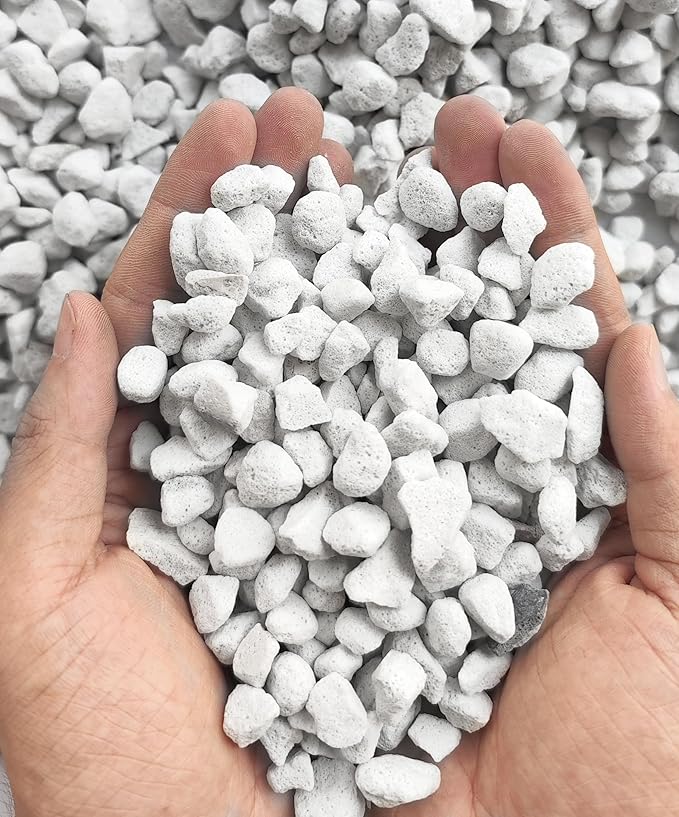 25QT Organic Perlite Horticultural Soil Amendment for Plants and Enhanced Drainage Enhanced