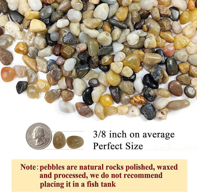 FANTIAN 2 Pounds Pebbles for Plants, 3/8 Inch Polished Pea Gravel. Decorative Stones River Rocks for Succulent Soil Cover, Cactus, Aquarium, Vase and Outdoor Garden Landscaping