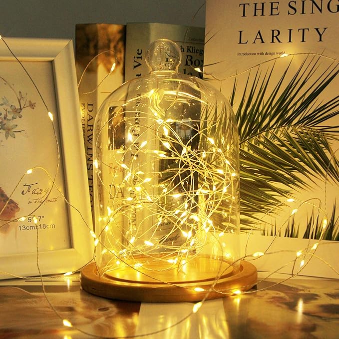 RUICHEN Silver Wire 66 Ft 200 LED USB Fairy String Lights with On/Off Switch (Warm White)