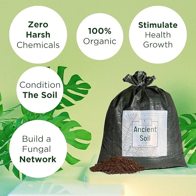 Elm Dirt Premium Ancient Soil - Organic Plant Soil for Outdoor & Indoor Plants | 25lbs