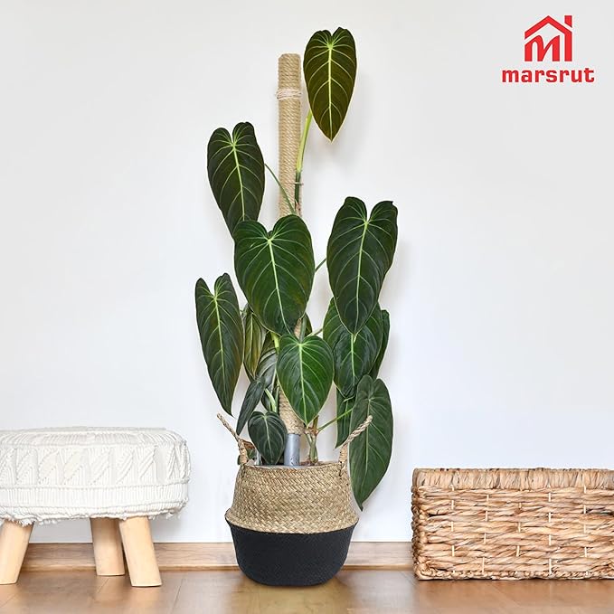2Pcs Basket for Plant Artificial Trees, 13x11 Inch Seagrass Wicker Pots, Woven Planter Set Eco-Friendly Round Boho Holder Base with Handles for Home Decor Indoor Storage Solution, Black Bottom Pattern