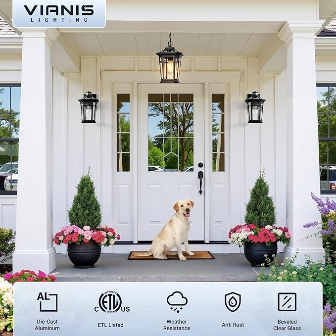 VIANIS Large Outdoor Pendant Lights for Porch, Black Hanging Light Fixture, 100% Aluminum Waterproof Anti-Rust Ceiling Lighting for House, Outside Hanging Lantern for Porch, Garden, Garage, 1-Light