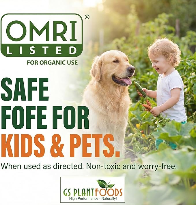 GS Plant Foods Liquid Kelp Fertilizer – Suitable for Organic Growing, OMRI Listed Seaweed Concentrate for Lawns, Gardens & Soil - 1 Gallon (Makes Up To 800+ Gallons)