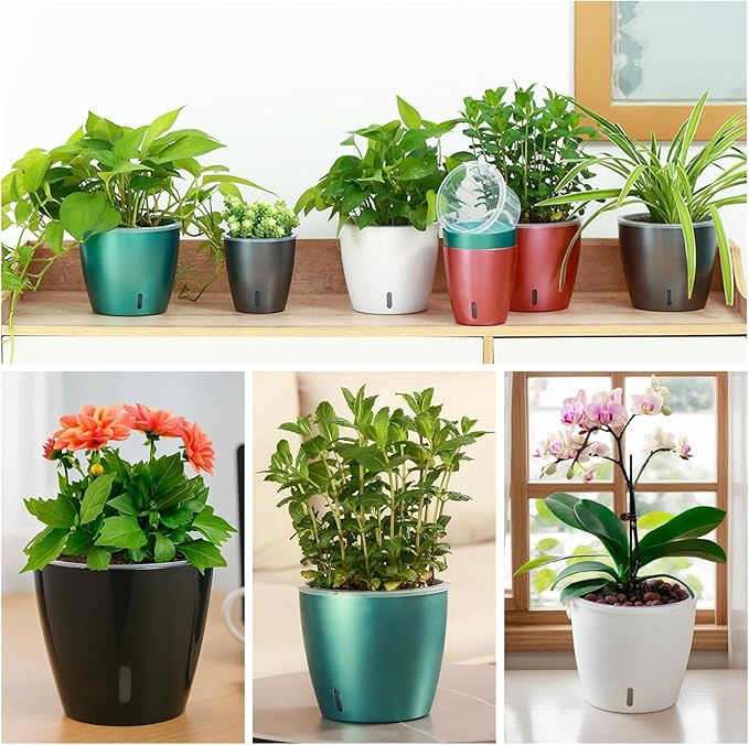 KvyusFlourish Self Watering Pots for Indoor Plants, 4-Pack 6.7'' Self Watering Planter with Drainage Holes, Small African Violet Pots with Water Indicator, Clear Wick Orchid Pot, Blue Gold