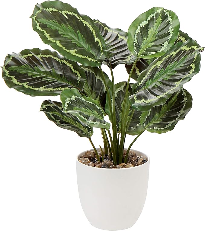 Briful 18'' Tall Fake Plant for Home Decor Artificial Calathea Plant with Large Leaves Real Touch Potted Faux Plant in White Pot for Living Room Kitcehn Bathroom Indoor Decor