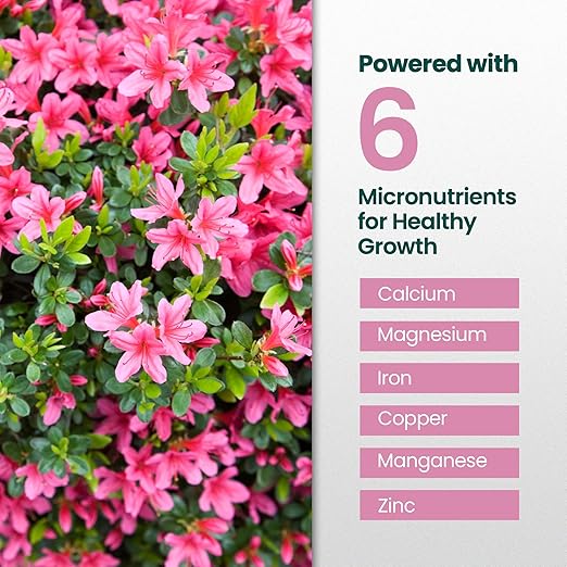 16oz Azalea Fertilizer Outdoor - Makes 16 Gallons of Azalea Plant Food, Liquid Fertilizer for Acid Loving Plants - Flower Food for Vibrant Blooms, Greener Leaves, Healthy Growth & Resilient Roots