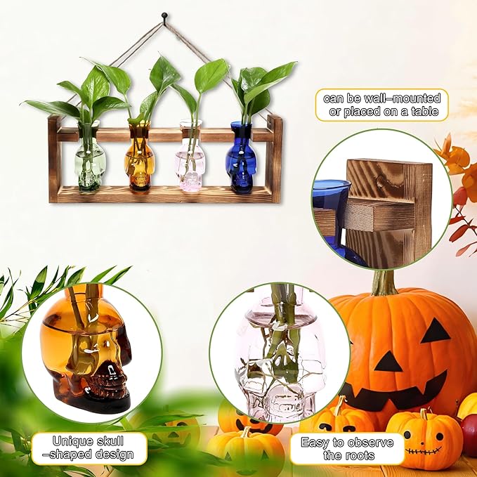 CYZglass Plant Propagation Stations Halloween Skull Plant Terrarium Kit Glass Vases Gift for Father Air Planter Home Office Decor