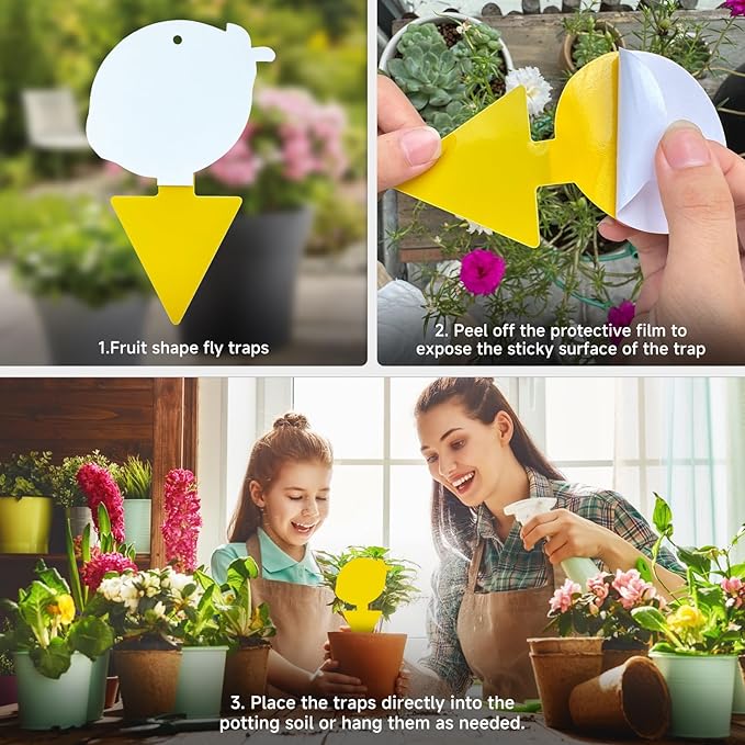 Fruit Fly Trap & Fungus Gnat Traps 40 Pack – Yellow Sticky Gnat Traps for House Indoor & Outdoor Plants, Non-Toxic and Odorless Insect Bug Catcher