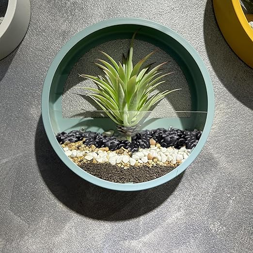 Pulovin 5 lbs Black Pebbles for Indoor Plants, Succulent, Bamboo, Vase, 3/8" Plant Rocks for Pots Indoor, Small River Rocks Decorative Pea Gravel, Highly Polished