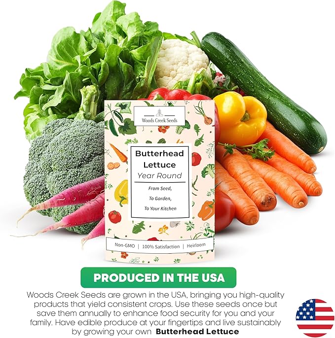 All Year Round Butterhead Lettuce Seeds for Planting - Over 2,700 Heirloom Non-GMO Seed Pack for Indoors & Outdoors - Beginner-Friendly Green Leaf Lettuce Seed | Woods Creek Seeds