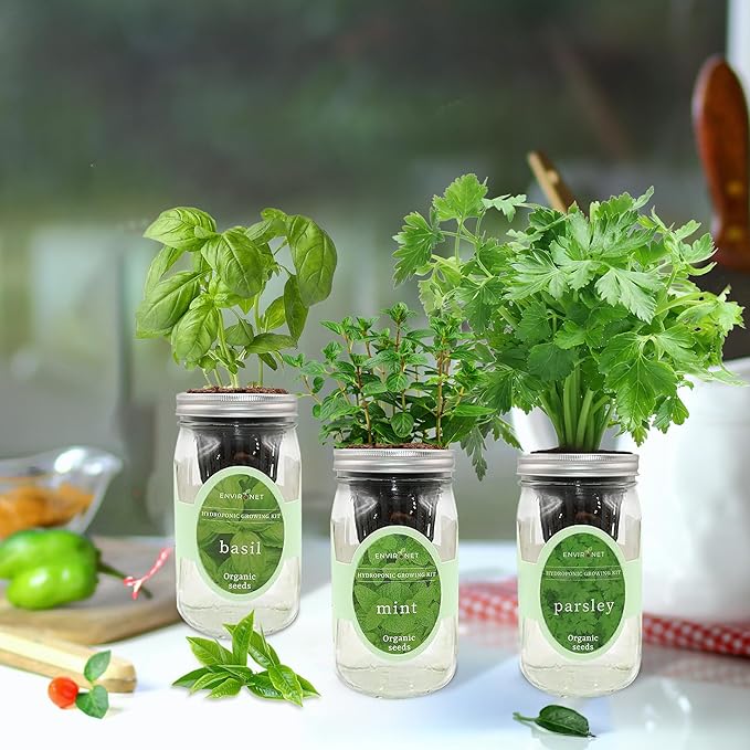 Environet Hydroponic Herb Growing Kit Set, Self-Watering Mason Jar Herb Garden Starter Kit Indoor, Windowsill Herbs Garden, Grow Your Own Herbs from Organic Seeds (Basil, Mint, Parsley)
