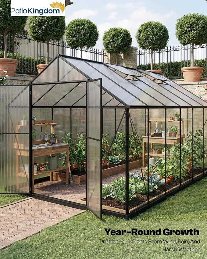 6x10 FT Greenhouse, Outdoor Greenhouse with Aluminum Frame, Polycarbonate Greenhouse for Outdoors with Roof Vent, Walk in Greenhouse for Outside Garden Backyard, Patio, Lawn (Black)