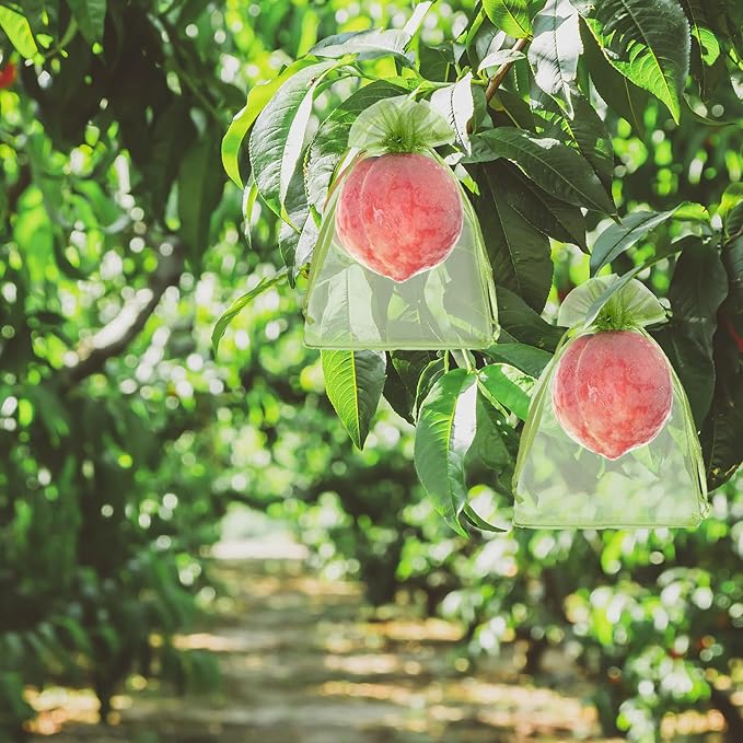 50 PCS 4X6 inches Fruit Protection Bags, Fruit Bags for Fruit Trees, Green Netting Fruit Cover Bags Drawstring Mesh Fruit Protectors Pest Barrier for Fruit Trees Veggies Garden