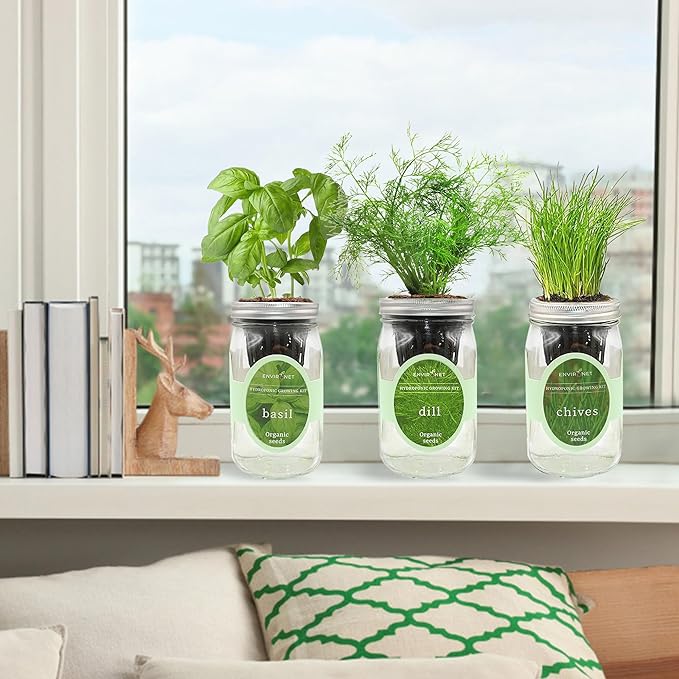 Environet Hydroponic Herb Growing Kit Set, Self-Watering Mason Jar Herb Garden Starter Kit Indoor, Windowsill Herbs Garden, Grow Your Own Herbs from Organic Seeds (Basil, Dill, Chives)