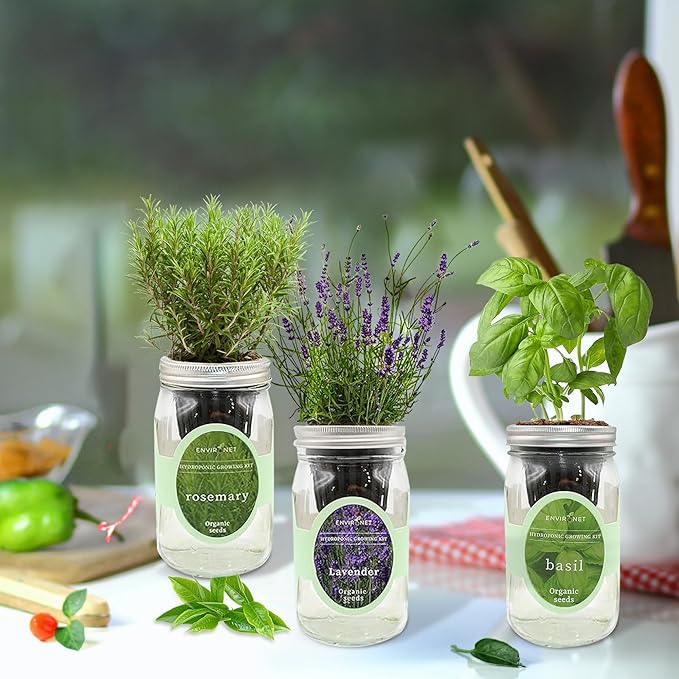 Environet Hydroponic Herb Growing Kit Set, Self-Watering Mason Jar Herb Garden Starter Kit Indoor, New Christmas Gift for Mom (Lavender, Rosemary & Basil)