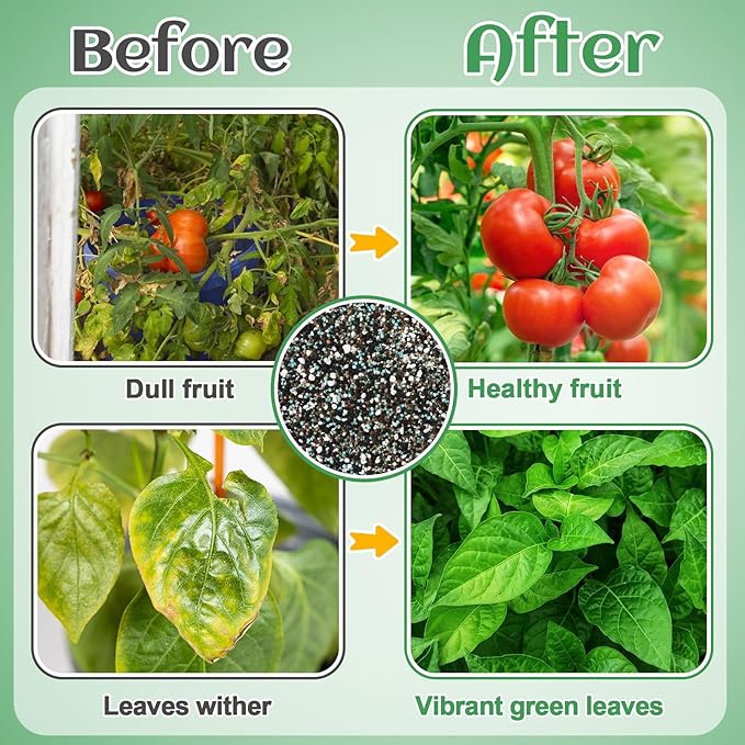 10-10-10 Slow-Release Premium Fertilizer - All-Purpose Plant Food for Indoor Outdoor Gardening Vegetables Flowers Lawn Trees Shrubs, 1 Quart
