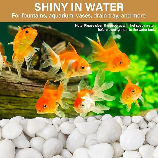 NUPICK 3lb White River Rocks for Plants Indoor, 2-3Inch White Pebbles for Vases Fillers, Decorative Gravel for Fish Tank, Natural Polished Stones for Succulent, Bonsai, Landscaping, Bird Baths