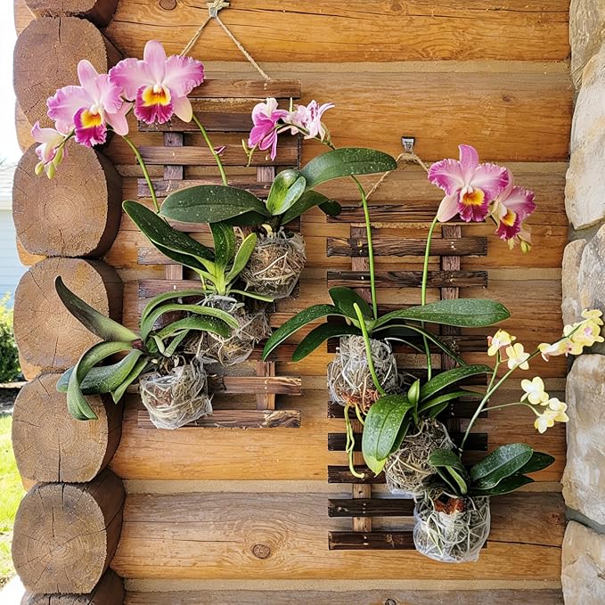 2 Pcs Wall Planters - 11.4"W x 23.62"H Wooden Wall Planters for Indoor Outdoor Plants,Hanging Wood Wall Trellis,Wall Mounted Plant Holder for Orchids,Succulent,Air Plants,Hanging Pots Display
