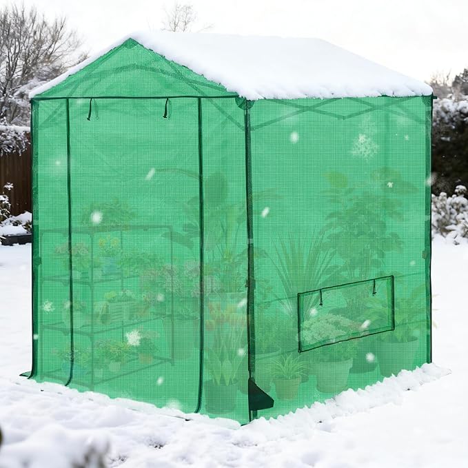 COOS BAY 6x6 FT Pop up Greenhouse Outdoor, Walk in Green House with Power Access Openings, Zippered Doors & Windows, Durable PE Cover, Green