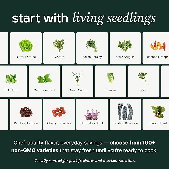 Farmstand Starter Kit with Glow Rings and 30 Seedling Credits | Family Hydroponic Growing System Kit | Vertical Garden Planter Tower | 5ft 5in Tall