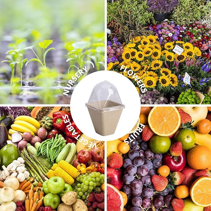 PURPLE STAR 1N 40 Pcs Square Biodegradable Seed Starter Pots with Humidity Dome - 3.1 Inch Square Planter for Outdoor Garden Vegetable Flower Germination
