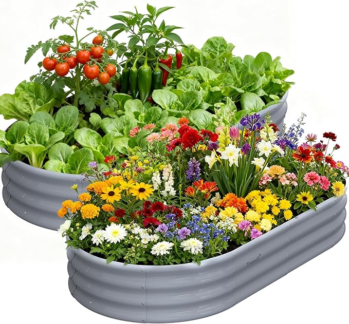 Galvanized Raised Garden Bed, 6x3x1ft Oval Metal Planter Box 2-Pack with Easy Tool-Free Assembly, Beginner & Senior Friendly, Large Outdoor Gardening Beds for Vegetables, Flowers, Herbs (Gray)