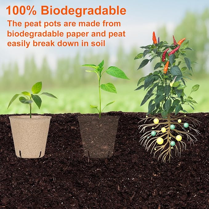 JNYONG 60 Packs 3.15 Inch Peat Pots,Biodegradable Pots for Seedlings with Drainage Holes, Garden Germination Nursery Pots with 50Pcs Plant Labels
