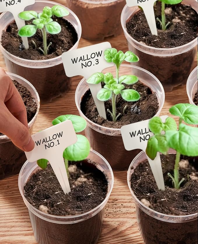 homenote Clear Nursery Pots for Plants,5 Inch Plant Pot for Planting Plastic Seedling with Drainage Holes Seed Starter Flower High Transparency with 20 Labels (30 Pack)
