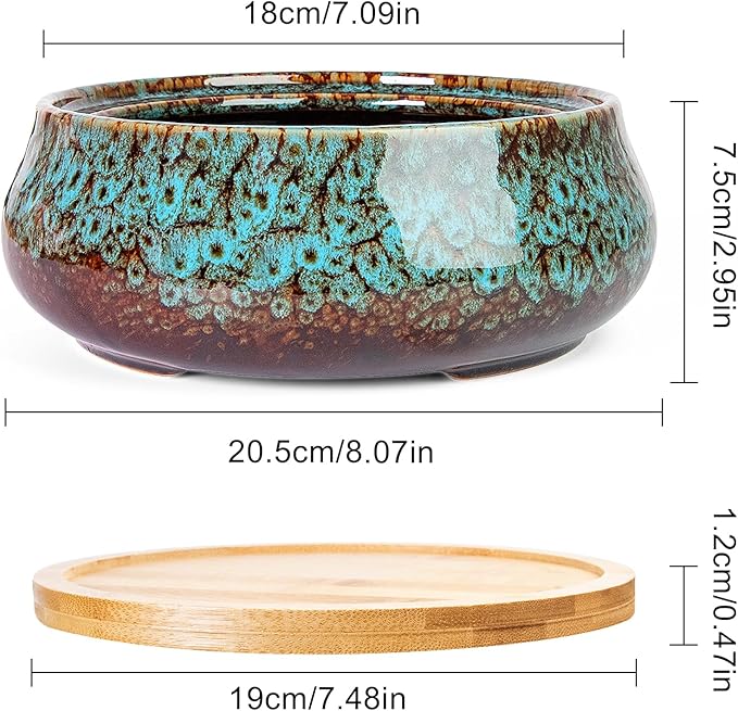 ARTKETTY Succulent Pots - 8 Inch Plant Pot, Large Bonsai Pots with Drainage Tray, Ceramic Planters for Indoor Outdoor Plants, Round Shallow Cactus Flower Plant Container Bowl Decorative Home Garden