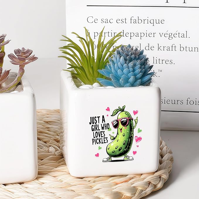 BJDAMAI Pickle Succulent Planter Flower Plant Pot Small, Gifts for Women Teens Girls Kids, Pickle Lovers Themed Stuff Accessories Things Decor Merch, Home Office Table Desk Decoration!