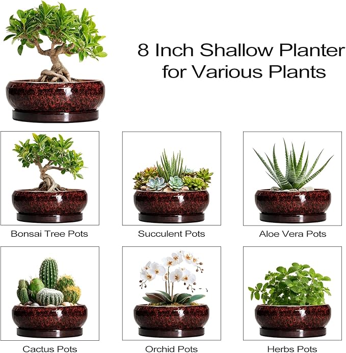 EPFamily Bonsai Pots - 8 Inch Ceramic Succulent Planters for Indoor Outdoor, Round Shallow Planters with Drainage Hole and Saucer, Succulent Planter Bowl, Home Decor, Housewarming Gifts, Red