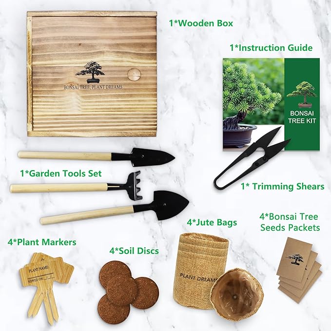 Bonsai Tree Starter Kit for Beginners - Indoor Live Plant Gardening Adult Craft DIY Kits - Unique Christmas, Birthday, White Elephant Gifts for Women, Men & Kids