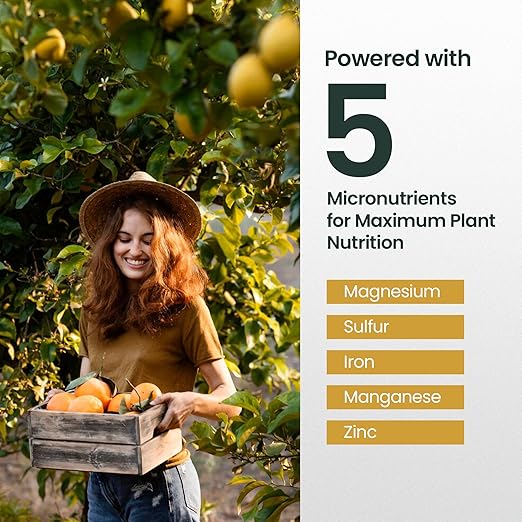 16oz Citrus Fertilizer & Fruit Tree Fertilizer - Makes 32 Gallons of Tree Food for Fruit Trees, Oranges and Other Citrus Trees, Premium Liquid Plant Food for Healthy Growth and Juicier Harvests