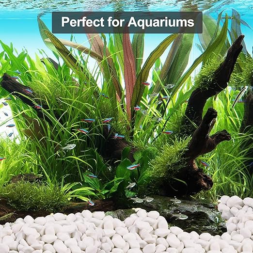 Lechloris 20Ib Snow White River Rock- Decorative Pebbles for Plants - River Rocks Outdoor Landscaping- 0.3"-0.8" inch Polished Stones for Aquarium, Home Decor,Garden Decor