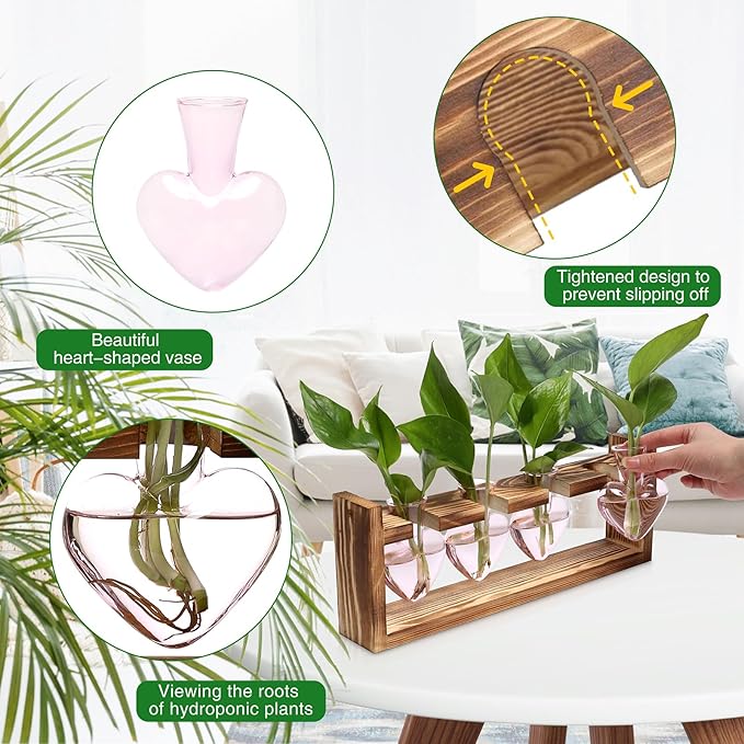 CYZglass Heart Plant Terrarium Kit Gift for Women Plant Lover Glass Vases