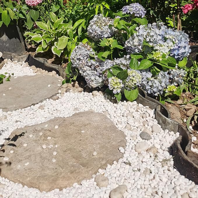 FANTIAN 5 lbs White Pebbles for Indoor Plants, 0.5-1 Inch Pea Gravel Stones for Planters, Decorative River Rocks for Succulent, Cactus, Vases, Aquariums, Crafting and Garden Landscaping