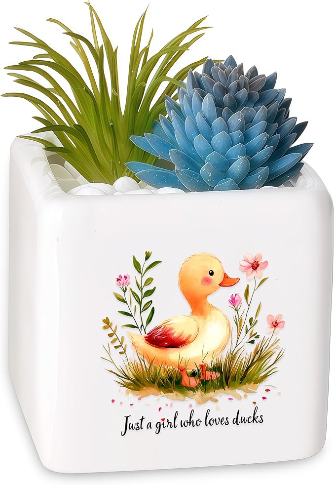 BJDAMAI Duck Succulent Planter Flower Plant Pot Small, Gifts for Women Teens Girls Kids, Duck Lovers Themed Stuff Accessories Things Decor Merch, Home Office Table Desk Decoration!