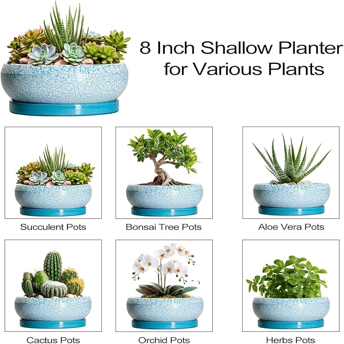 EPFamily Succulent Pots 8 Inch - Ceramic Bonsai Pots with Drainage Hole and Saucer, Succulent Planters for Indoor Plants Outdoor, Round Shallow Planter Bowl, Porch Decor, Gardening Gifts, Blue