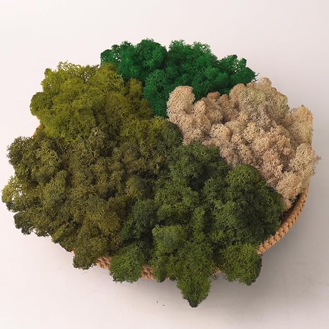 prefleur Preserved Reindeer Moss Natural Green DIY Kit Gardenning Art Wall Decor Florist Decor Easter Table Decor Wedding