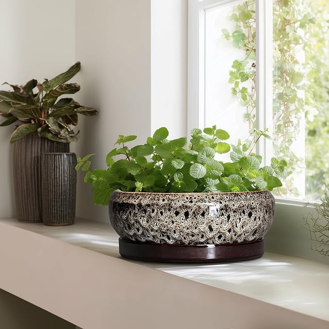 EPFamily Bonsai Planter 13 Inch - Large Ceramic Succulent Planters, Shallow Plant Pot Indoor with Drainage Hole and Tray, Bonsai Pot, Round Bowl Planter Outdoor, House Decor, Housewarming Gift, White