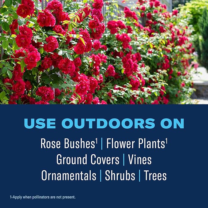 BioAdvanced All-in-One Rose & Flower Plant Care, Ready-to-Spray, 32 Ounce, Aphid Spray for Outdoor Plants, Fungicide for Plants