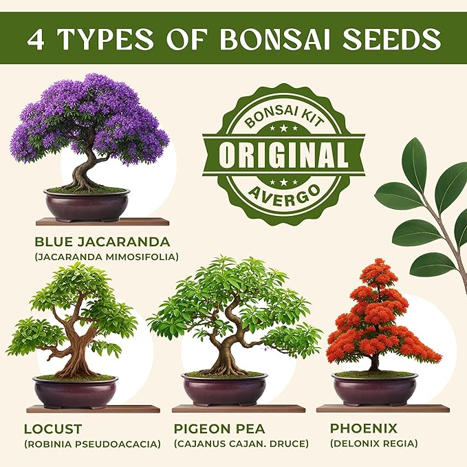 Avergo Bonsai Tree Kit – 4X Unique Japanese Bonzai Trees | Complete Indoor Starter Kit for Growing Bonsai Plants with Tools & Planters – Gardening Gifts for Women & Men