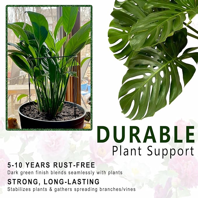 Soupiar 6 Pack Detachable & Assemblable Metal Plant Support Stakes - Garden Support Ring, Tomato Seedling Cage, Young Monstera/Pothos for Growing Indoor/Outdoor (10" W x 16" H)