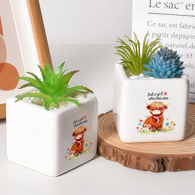 BJDAMAI Highland Cow Succulent Planter Flower Plant Pot Small, Gifts for Women Teens Girls Kids, Cow Lovers Themed Stuff Accessories Things Decor Merch, Home Office Table Desk Decoration!